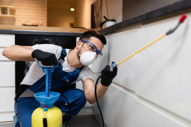 Best Emergency Pest Control  in Kensington, MD
