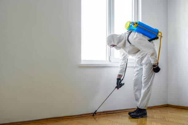 Best Bed Bug Extermination  in Kensington, MD