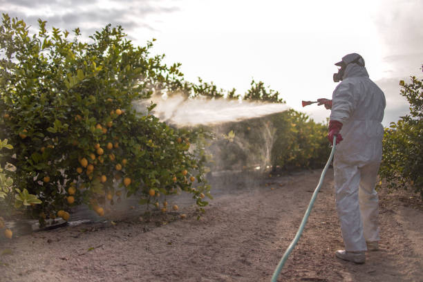 Best Local Pest Control Services  in Kensington, MD