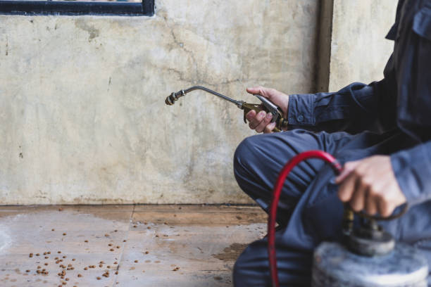 Best Wasp Removal Services  in Kensington, MD